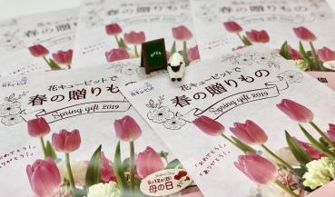 春の花贈り|「上田花麗園」　（長崎県長崎市の花屋）のブログ